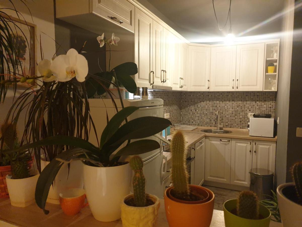 Apartmani Desancic Бар Экстерьер фото