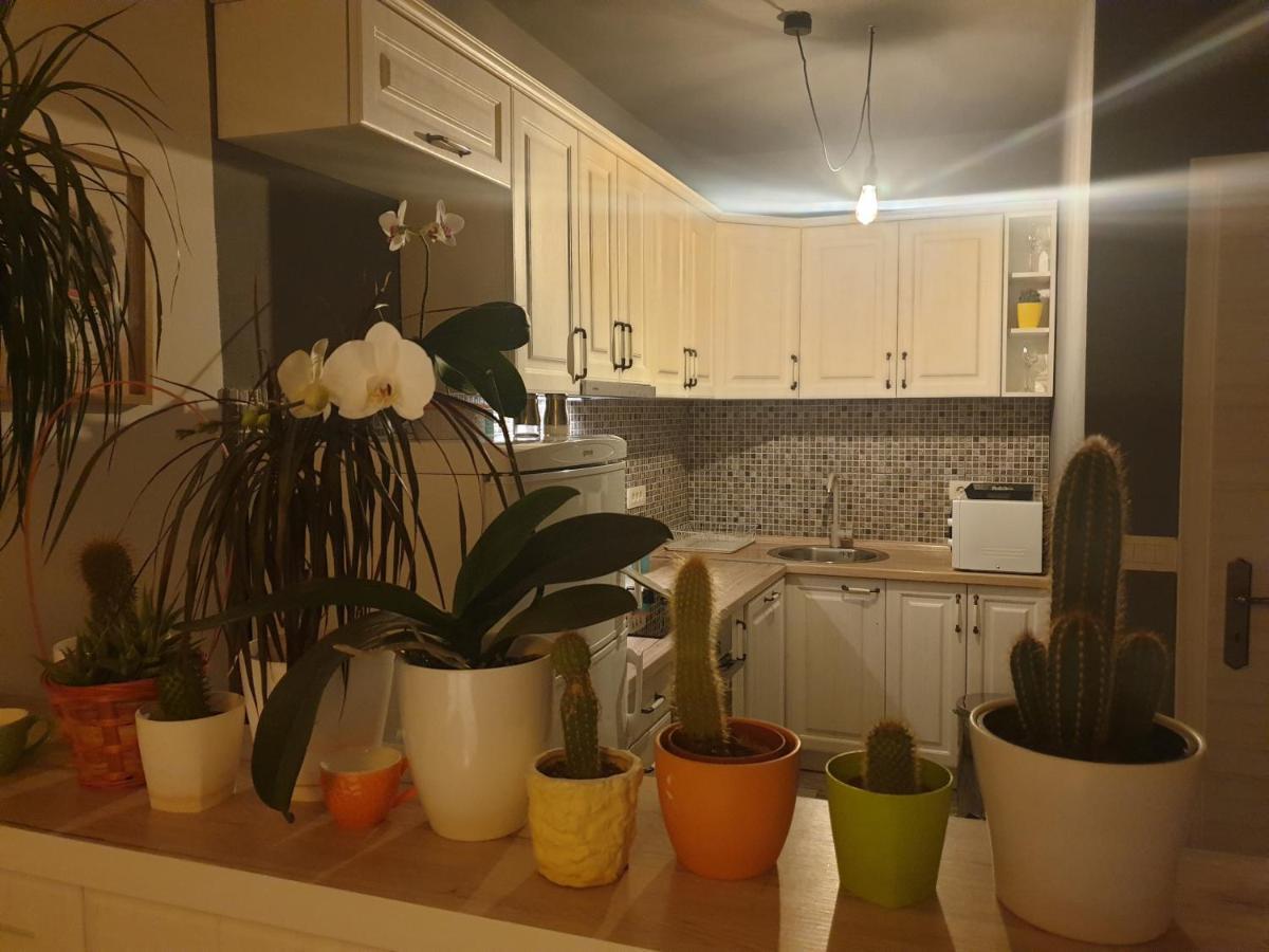 Apartmani Desancic Бар Экстерьер фото