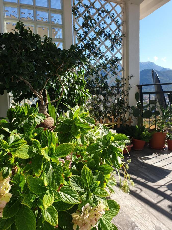 Apartmani Desancic Бар Экстерьер фото