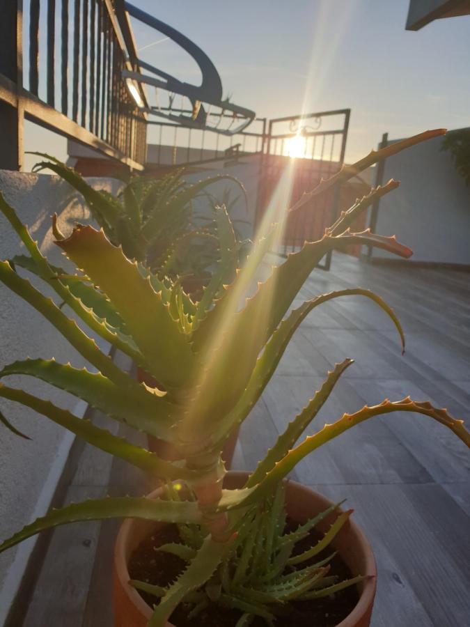 Apartmani Desancic Бар Экстерьер фото